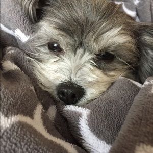 Meet your Posher, Susan